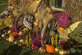 Autumn installation of flowers and fruits at the Halloween at the Wilhelma Zoo in Stuttgart, Germany.