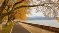 Autumn in Ioannina city Epirus Greece trees yellow leaves beside the lake