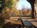 Autumn in Italian Park Royalty Free Stock Photo