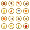 Autumn items icons circle