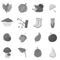 Autumn items icons set monochrome