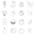 Autumn items icon set outline