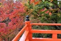 Autumn in Japan Royalty Free Stock Photo