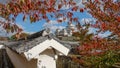 Autumn in Japan hunting for red leaves of maple tree Kioto Royalty Free Stock Photo