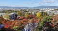Autumn in Japan hunting for red leaves of maple tree Kioto Royalty Free Stock Photo
