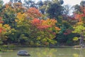 Autumn Japanese garden with maple in Kinkakuji temple at Kyoto, Japan Royalty Free Stock Photo