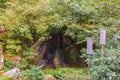 Autumn Japanese garden with maple in Kinkakuji temple at Kyoto Royalty Free Stock Photo