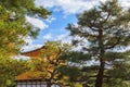 Autumn Japanese garden with maple in Kinkakuji temple at Kyoto Royalty Free Stock Photo