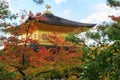 Autumn Japanese garden with maple in Kinkakuji temple at Kyoto Royalty Free Stock Photo