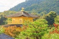 Autumn Japanese garden with maple in Kinkakuji temple at Kyoto Royalty Free Stock Photo