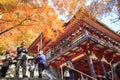 Autumn Japanese garden with maple Royalty Free Stock Photo
