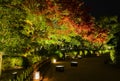 Autumn Japanese garden with maple trees light-up at night in Okayama, Japan Royalty Free Stock Photo