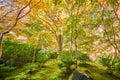 Autumn Japanese garden of Rurikoin temple Ruriko-in. Royalty Free Stock Photo