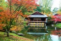 Autumn japanese garden Royalty Free Stock Photo