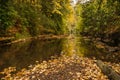 Autumn in Jesmond Dene Royalty Free Stock Photo