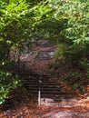 Autumn in Jesmond Dene, Newcastle upon Tyne, UK Royalty Free Stock Photo