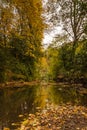 Autumn in Jesmond Dene vertical Royalty Free Stock Photo