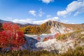Autumn at Jigokudani hell valley, Hokkaido, Japan