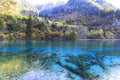 Autumn in jiuzhaigou, China