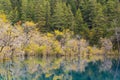 Autumn in jiuzhaigou, China