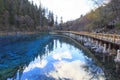 Autumn in Jiuzhaigou, China Royalty Free Stock Photo