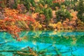 Autumn in Jiuzhaigou, Sichuan, China Royalty Free Stock Photo