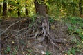 Autumn journeys on the banks of the Danube River 3