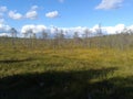 Autumn, Karelia, hunting, forest, landscape, Lake Ladoga