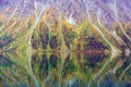 Autumn on Kathleen Lake, Kluane National Park and Reserve