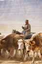 Kazakh herdsmen in Xinjiang Royalty Free Stock Photo