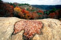 Autumn in Kentucky Royalty Free Stock Photo