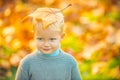 Autumn kid with Autumn Leaves on head. Yellow Autumn Background. Adorable toddler boy portrait on beautiful autumn day. Royalty Free Stock Photo