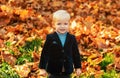 Autumn kids, lovely child playing with fallen leaves in autumn park. Royalty Free Stock Photo