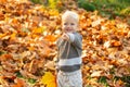 Autumn kids, lovely child playing with fallen leaves in autumn park, autumn park.