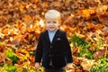 Autumn kids, lovely child playing with fallen leaves in autumn park. Royalty Free Stock Photo