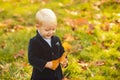 Autumn kids, lovely child playing with fallen leaves in autumn park.