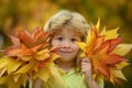 Autumn kids portrait closeup. Kids play in autumn park. Children throwing yellow leaves. Child boy with oak and maple Royalty Free Stock Photo