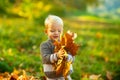 Autumn kids Portrait In Fall Yellow Leaves. Little child in yellow Park Outdoor, yellow leaves.