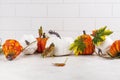 Autumn kitchen decor Royalty Free Stock Photo