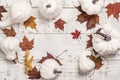 Autumn kitchen decor Royalty Free Stock Photo