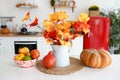 Autumn kitchen with vegetables, pumpkin and yellow leaves in the vase on white table