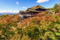 Autumn in Kiyomizu Temple, Kyoto, Japan Royalty Free Stock Photo