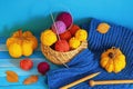 Autumn knitting and hobby concepts. Yellow knitted pumpkins, colorful balls of wool, warm scarf and autumn leaves