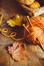Autumn Knitting