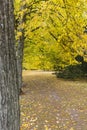 Autumn in Kungsparken, Malmo, Sweden