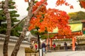 Autumn in Kyoto , Japan.