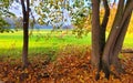 Autumn in La Mandria Park, Venaria Reale town, Italy. Nature, environment and tourism Royalty Free Stock Photo