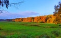 Autumn in La Mandria Park, Venaria Reale town, Italy. Nature, environment and tourism Royalty Free Stock Photo