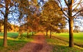 Autumn in La Mandria Park, Venaria Reale town, Italy. Nature, environment and tourism Royalty Free Stock Photo