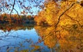 Autumn in La Mandria Park, Venaria Reale town, Italy. Nature, environment and tourism Royalty Free Stock Photo